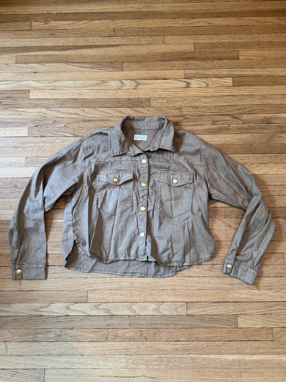 Evereve Taupe Button-Front Jean Jacket